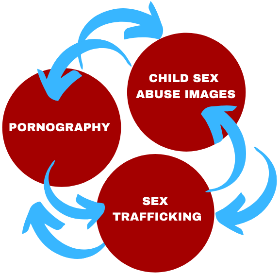 Human Trafficking In Porn - Internet Safety 101: Sex Trafficking